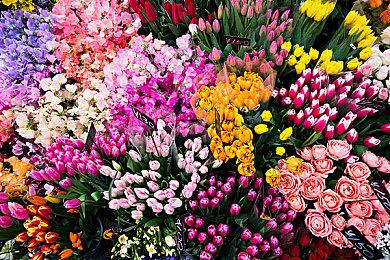 ARPG新游《Dreamed Away》众筹成功 2025年登陆多平台